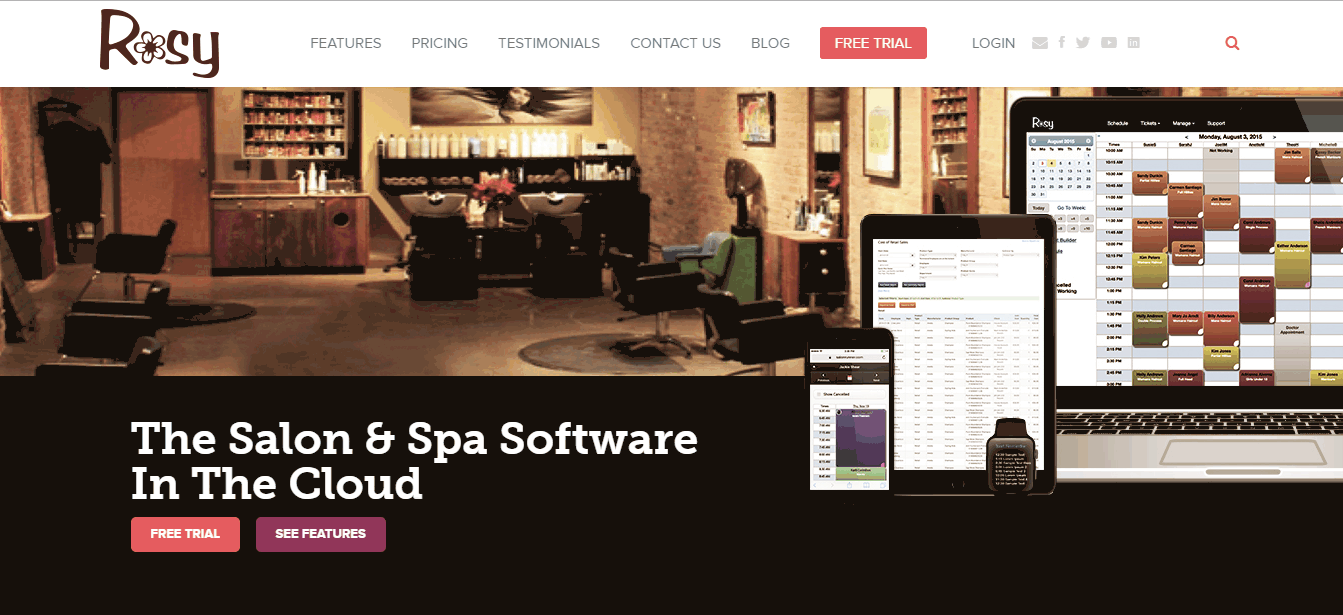 Rosy Pricing, Reviews, & Features in 2022