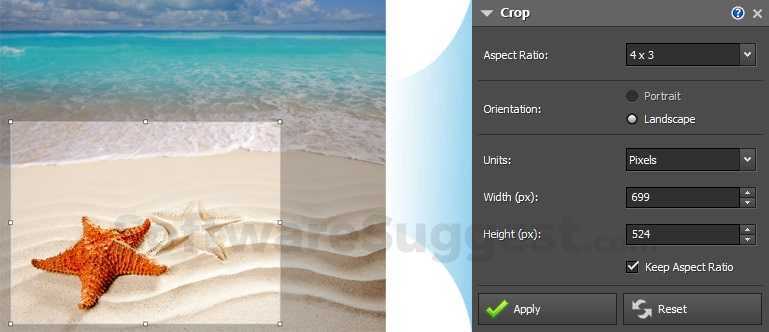 for android download NCH PhotoPad Image Editor 11.59